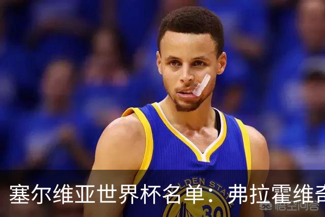 塞尔维亚世界杯名单：弗拉霍维奇领衔 古德利在列